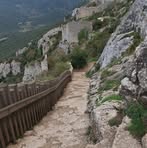 Géraldine Pellegrin - Facebook
