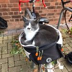 Geraldine Poole - @gwendolynpuddle - Instagram