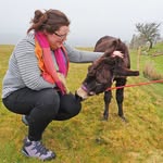 Geraldine Porter - @geraldine.aoife - Instagram