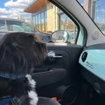 Geraldine Porter - @portergeraldine1 - Instagram