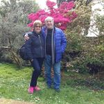 Geraldine Power - @geraldine.power2 - Instagram