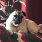 Geraldine Power - @geraldine.power - Instagram