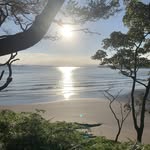 Geraldine Quinn Clarke - @geraldinequinnclarke - Instagram