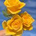 Geraldine Riddle - Facebook
