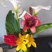 Geraldine Rigot - Facebook