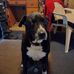 Geraldine Ritter - Facebook