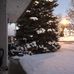 Geraldine Roeder - Facebook