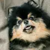 Geraldine Rotela - @geraldinerotela - TikTok