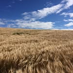 Geraldine Rowe - @growe.73 - Instagram