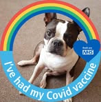 Geraldine Rowe - Facebook