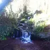 geraldinecrowley - @geraldinecrowley - TikTok