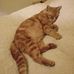 Geraldine Ruff - Facebook