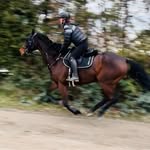 Géraldine Ruffing - @geraldineruffing - Instagram