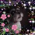 Geraldine Ryan - Facebook