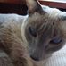 Geraldine Sauer - Facebook