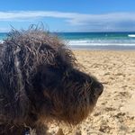 Geraldine Schmidt - @gezza2906 - Instagram