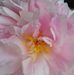 Geraldine Chabert - Facebook