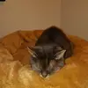 Julischka - @geraldineschulz - TikTok