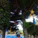 Geraldine Senangote - Facebook