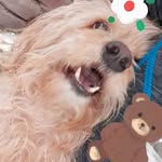 Geraldine Serna - @milagros14971 - Instagram