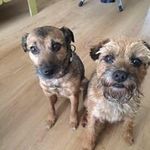 Geraldine Sheppard - @sheppard.geraldine - Instagram