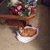 Geraldine Stanton - Facebook