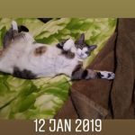 GERALDINE STANTON MRS - @geraldinestantonmrs - Instagram
