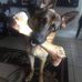Geraldine Starks - Facebook