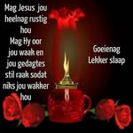 Geraldine Steenkamp - @geraldine.steenkamp.5 - Instagram