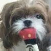 Geraldine Tan - @geraldine.tan5 - TikTok