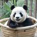 Geraldine Tan - Facebook