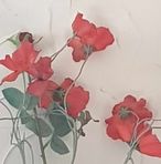 Geraldine Tobin - Facebook