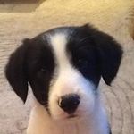 Geraldine Tobin - @gerzywerzy - Instagram