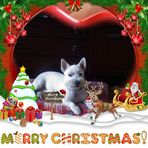 Geraldine Tobin - Facebook