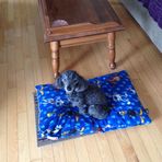 Geraldine Wallace - Facebook