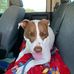 Geraldine Weaver - Facebook