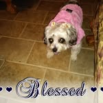 Geraldine Woods - @geraldine.woods.330 - Instagram