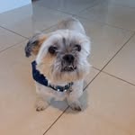 Geraldine Woods - @geraldine.woods.16 - Instagram