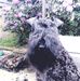 Gerry Yeager - Facebook