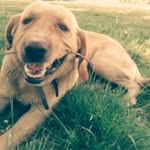 Andres Geraldo Acevedo Palacios - @andresgeraldoacevedopalacios - Instagram