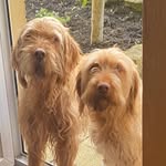 Gerard Allison - @ggerard_aa - Instagram