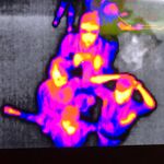 Gerard Andrade - @oxford_oncology - Instagram