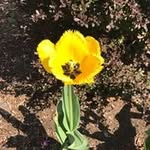Gerard Bailey - @baileygerard - Instagram
