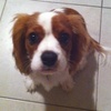 Gerard Barnes - @gerard.barnes3 - TikTok