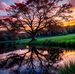 Gerard Best - Facebook