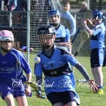 Gerard Burns 🏑🇧🇼🇮🇪 - @__.gerard1967 - Instagram
