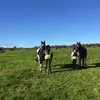 Gerard Casey852 - @gerardcasey852 - TikTok