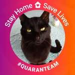 Gerard Casey - @artist201051 - Instagram