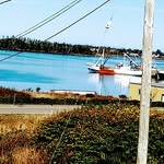 Gerard Comeau - @gerard_comeau - Instagram