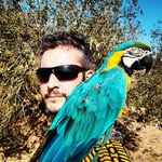Gerard Cortes aka SyL3x - @cortesescoda - Instagram